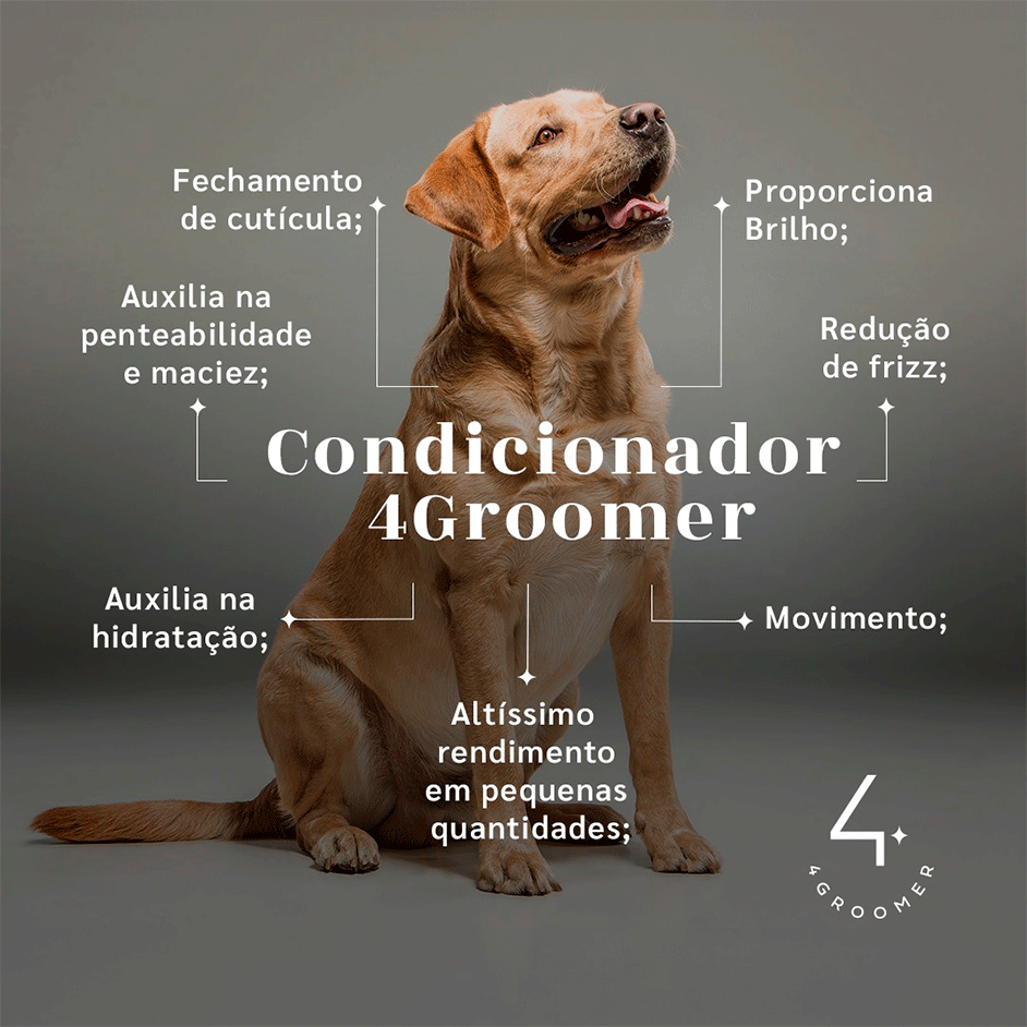 Condicionador Ibasa - 250 mL