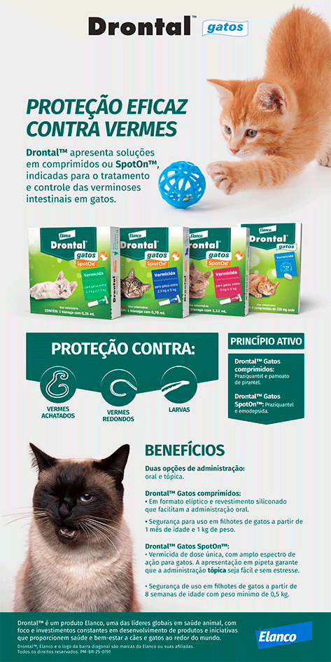 Vermífugo Drontal SpotOn para Gatos de 2,5Kg a 5Kg - 1 Bisnaga