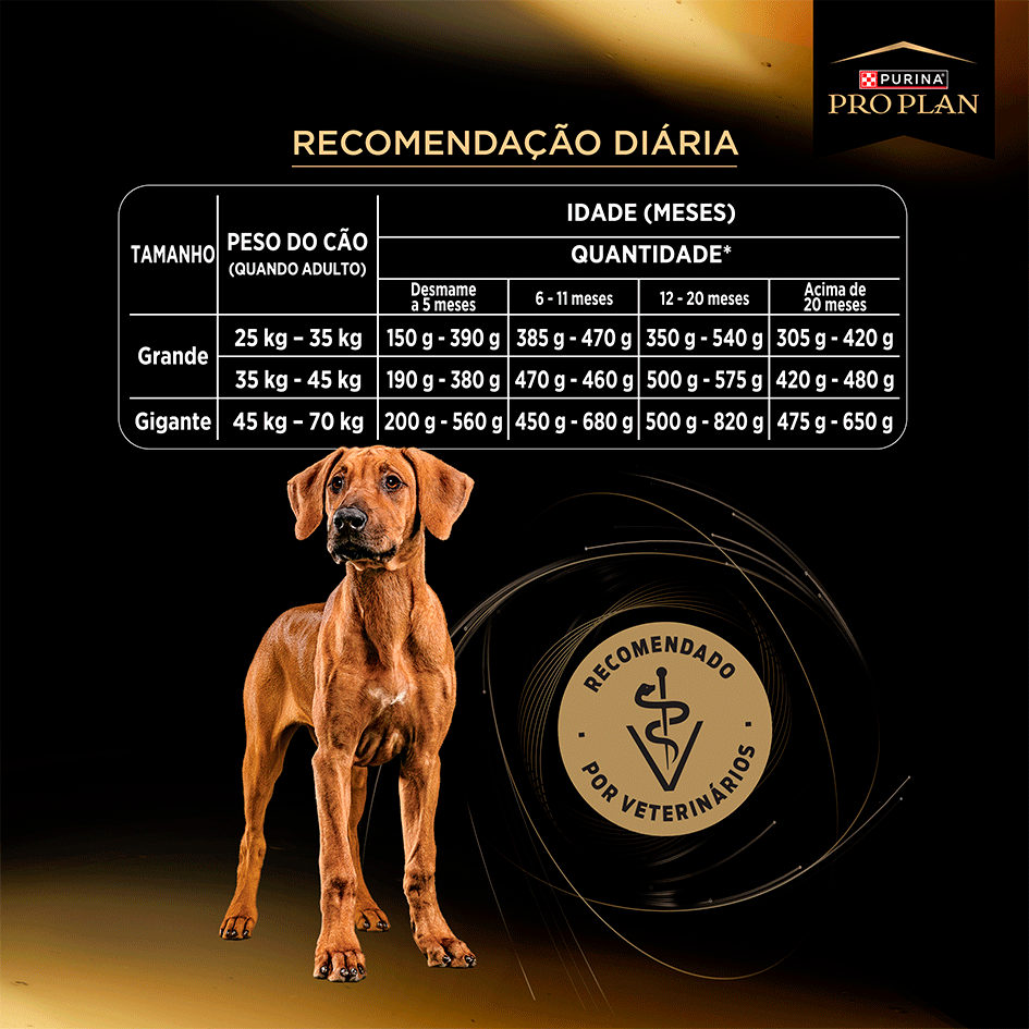 Ração Seca Purina Pro Plan Desenvolvimento Excepcional para Cães Filhotes para Cães Raças Grandes - 12Kg