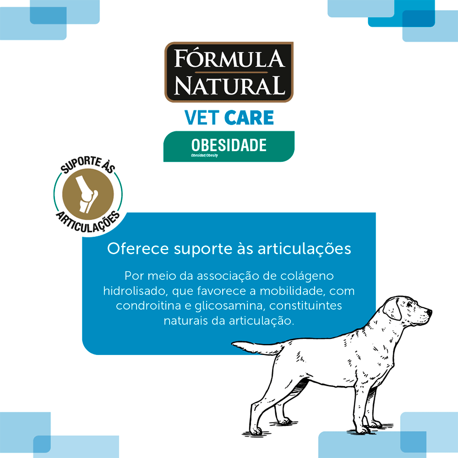 Ração Seca Fórmula Natural Vet Care Obesidade para Cães de Porte Médio e Grande - 10,1Kg