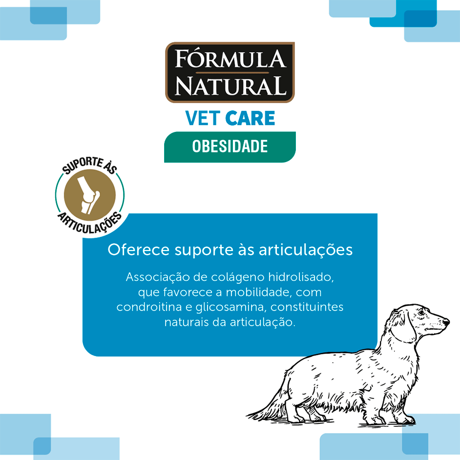 Ração Úmida Fórmula Natural Vet Care Obesidade para Cães - 270 g