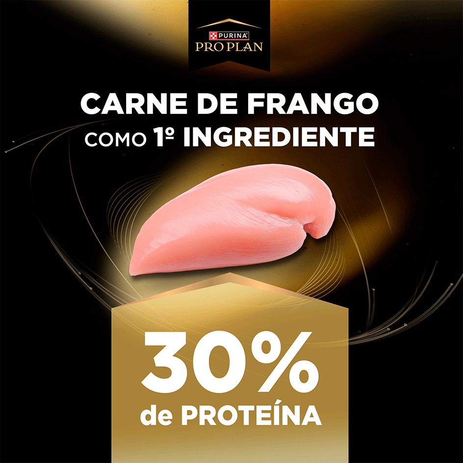Ração Seca Purina Pro Plan Alta Vitalidade para Cães Adultos - 12Kg