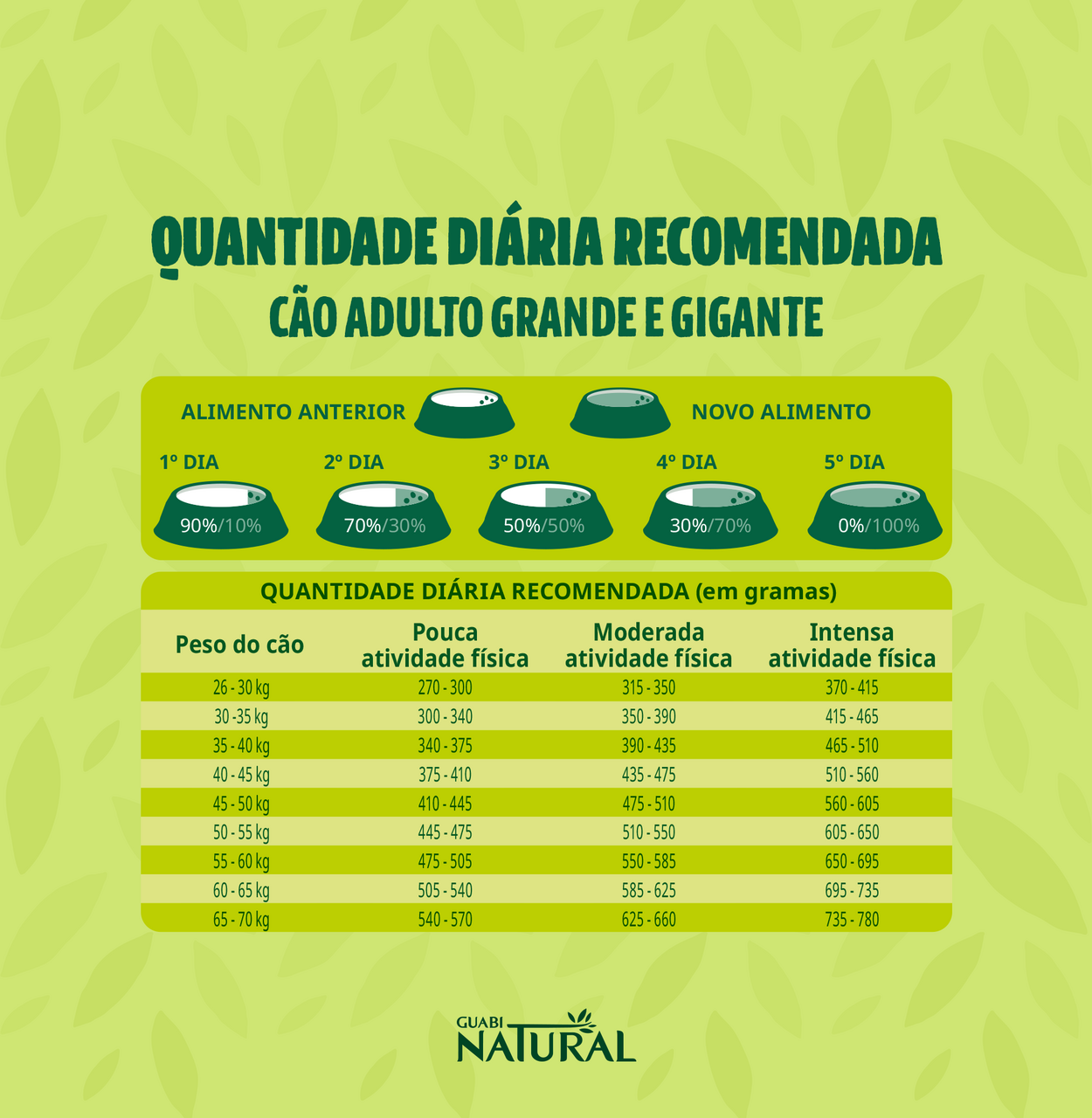Ração Guabi Natural Salmão e Cevada para Cães Adultos Raças Grande e Gigante - 12Kg