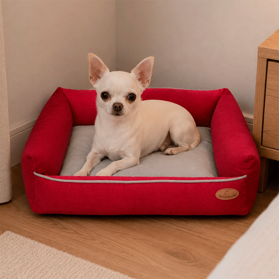Cama Pickorruchos Milão Veludo Cereja para Cães e Gatos - Tam. P