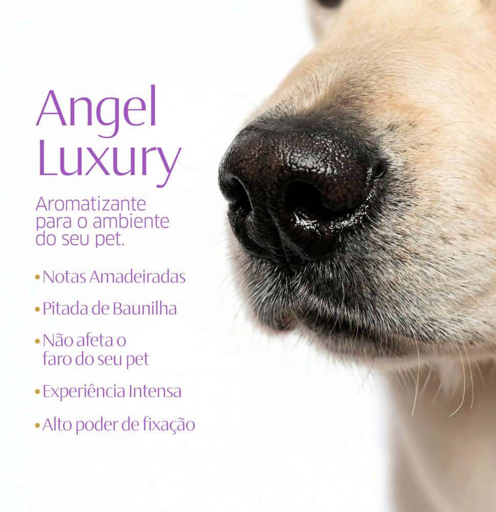 Lava Roupas Líquido CleanNew Ultra Concentrado Angel Luxury - 1 Litro