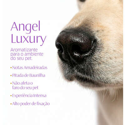 Lava Roupas Líquido CleanNew Ultra Concentrado Angel Luxury