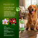 Aromatizante CleanNew HexFresh Exclusive