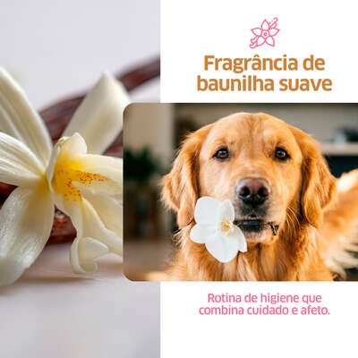 Detergente CleanNew Petsafe