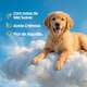 Desinfetante CleanNew Petsafe com Extrato de Mel