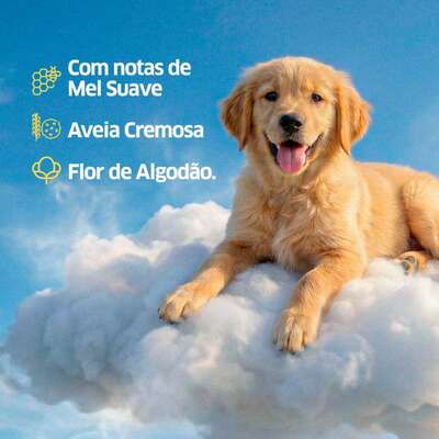 Desinfetante CleanNew Petsafe com Extrato de Mel