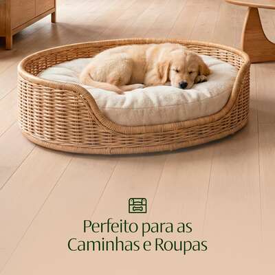 Aromatizante CleanNew HexFresh Exclusive