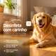Desinfetante CleanNew Petsafe com Extrato de Mel