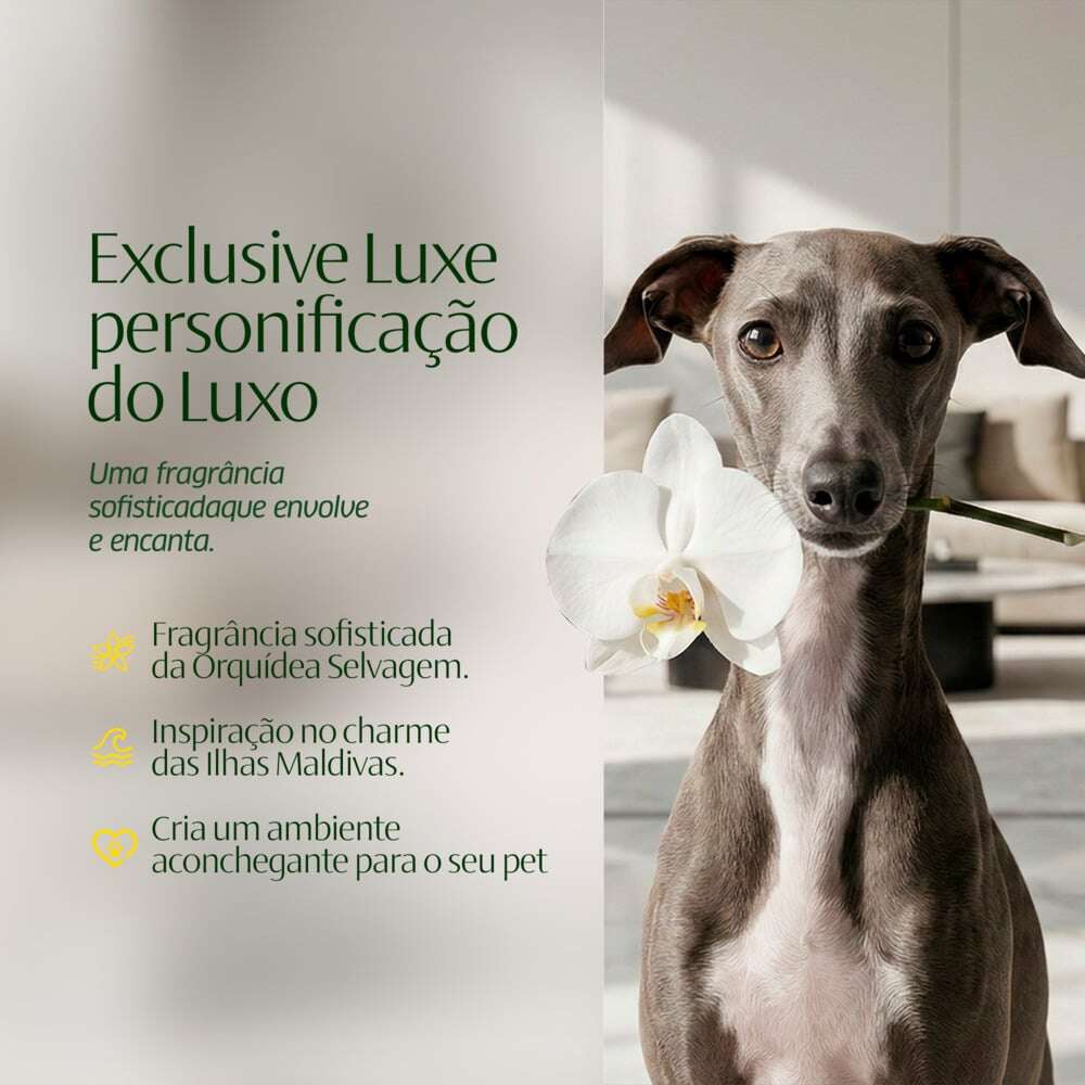 Aromatizante CleanNew HexFresh Exclusive - 1 Litro