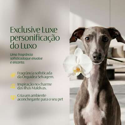 Aromatizante CleanNew HexFresh Exclusive