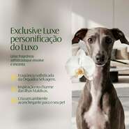 Aromatizante CleanNew HexFresh Exclusive - 1 Litro