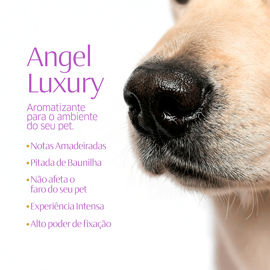 Aromatizante CleanNew HexFresh Luxury Angel Luxury - 1 Litro