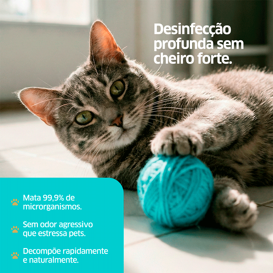Água Clorada CleanNew Petsafe Perfumada - 2 Litros