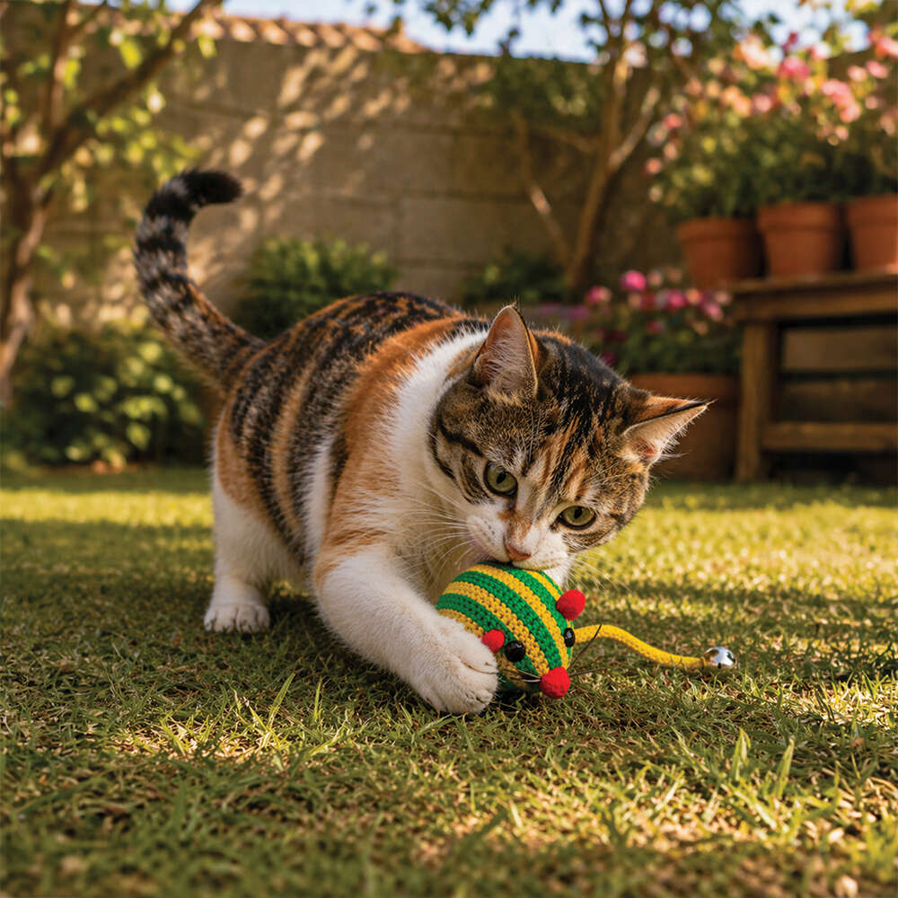 Kit Brinquedo Interativo Savana Pet Ratinho Verde para Gatos - Tam. Único