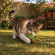 Kit Brinquedo Interativo Savana Pet Ratinho Verde para Gatos