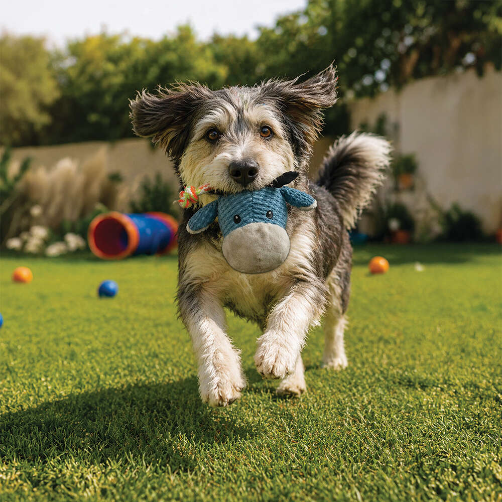Brinquedo Pelúcia Savana Pet Boi com Corda para Cães - Tam. Único