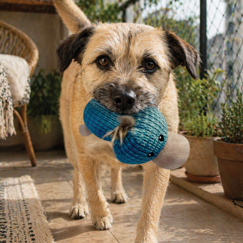 Brinquedo Pelúcia Savana Pet Pato com Corda para Cães - Tam. Único