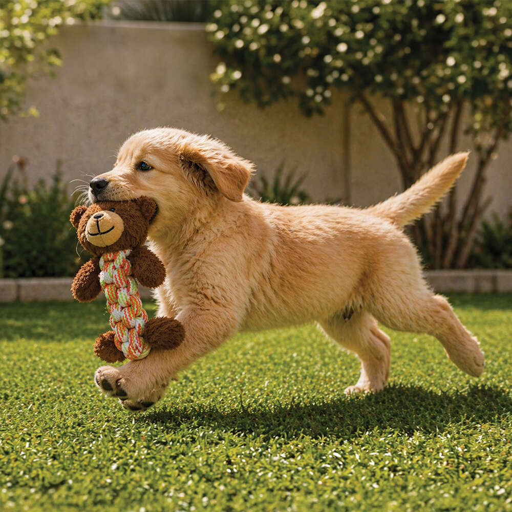 Brinquedo Pelúcia Savana Pet Cachorro com Corda para Cães - Tam. Único