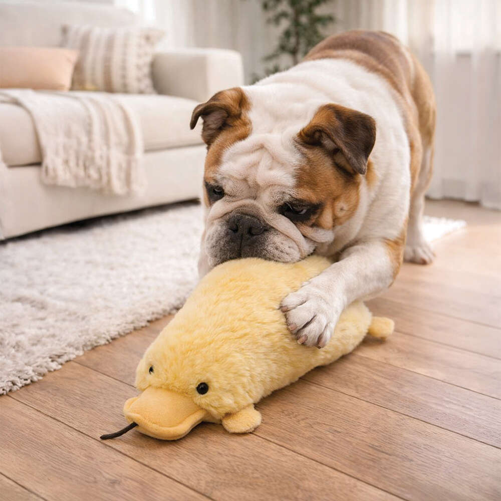 Brinquedo Pelúcia Savana Pet Big Duck para Cães - Tam. Único