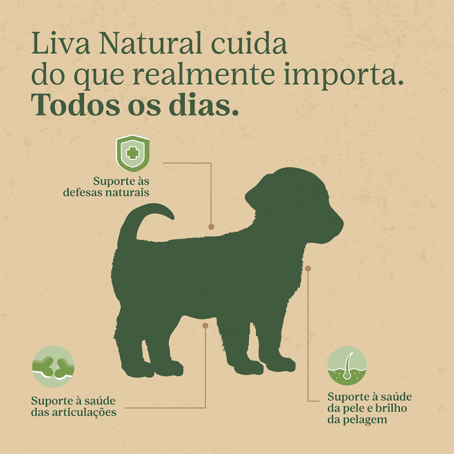 Ração Liva Natural Frango e Batata Doce para Cães Filhotes de Raças Médias e Grandes - 10,1Kg
