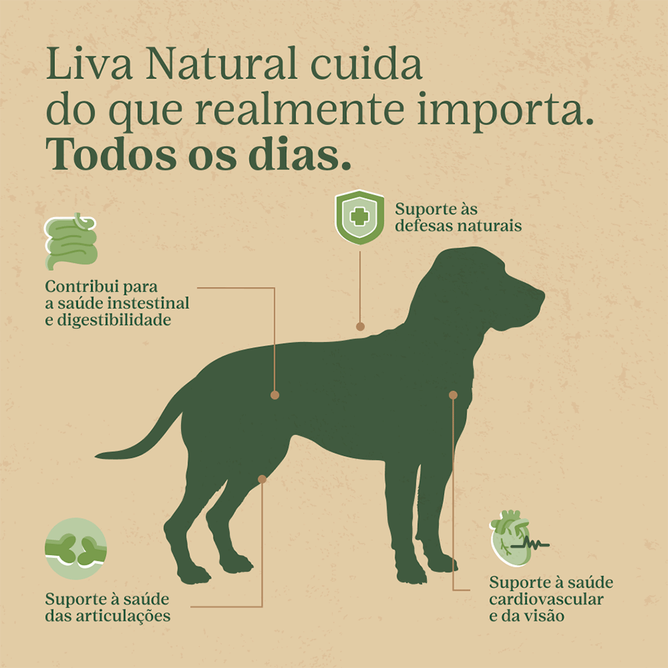 Ração Liva Natural Frango e Batata Doce para Cães Sênior de Raças Médias e Grandes - 10,1Kg
