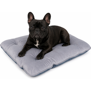 Almofada Pickorruchos Suede Azul para Cães e Gatos - Tam. M
