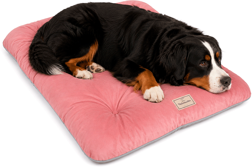 Almofada Pickorruchos Suede Rosa para Cães e Gatos - Tam. M
