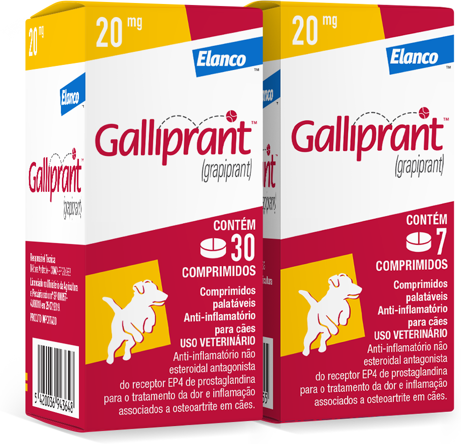 Anti-Inflamatório Elanco Galliprant 20 mg para Cães - 30 Comprimidos