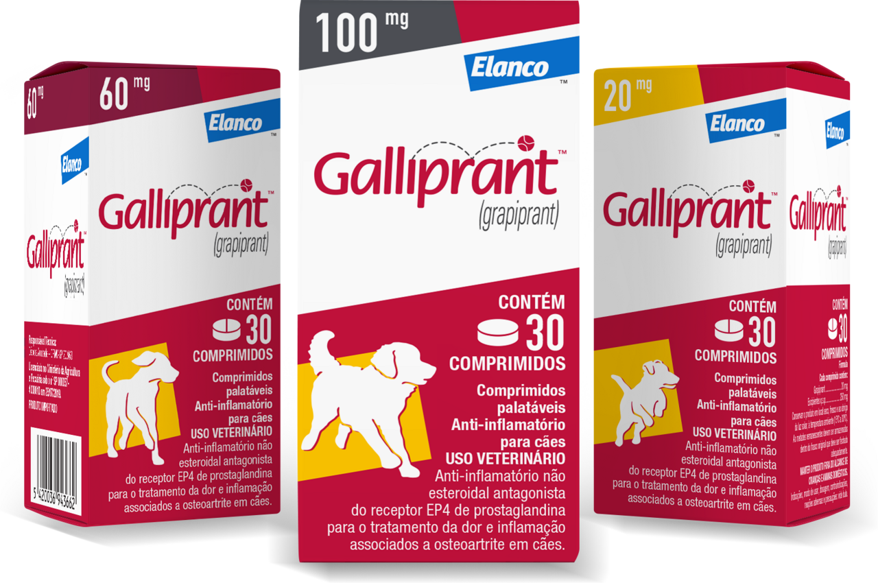 Anti-Inflamatório Elanco Galliprant 20 mg para Cães - 30 Comprimidos