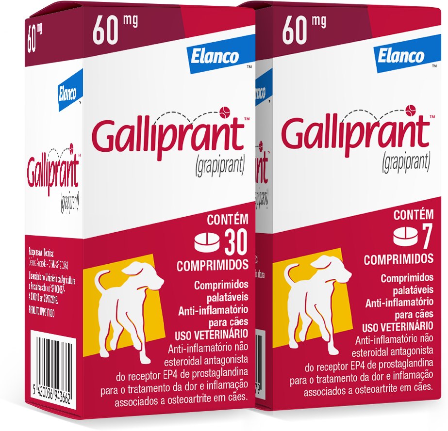 Anti-Inflamatório Elanco Galliprant 60 mg para Cães - 30 Comprimidos