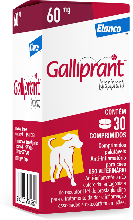 Anti-Inflamatório Elanco Galliprant 60 mg para Cães - 30 Comprimidos