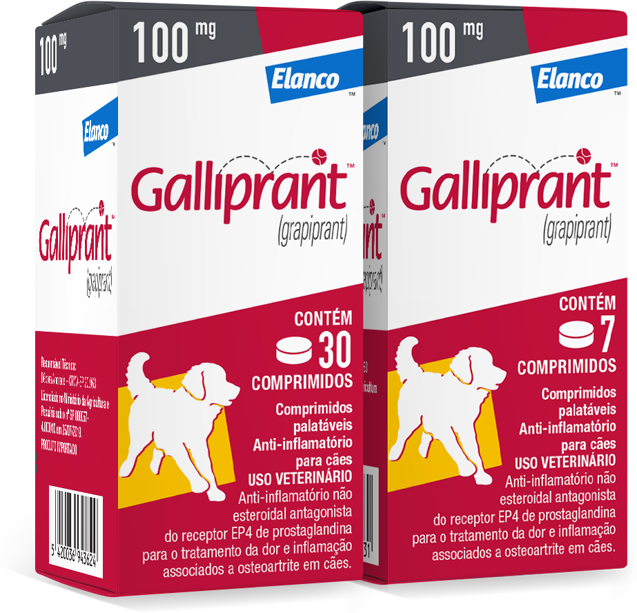 Anti-Inflamatório Elanco Galliprant 100 mg para Cães - 30 Comprimidos
