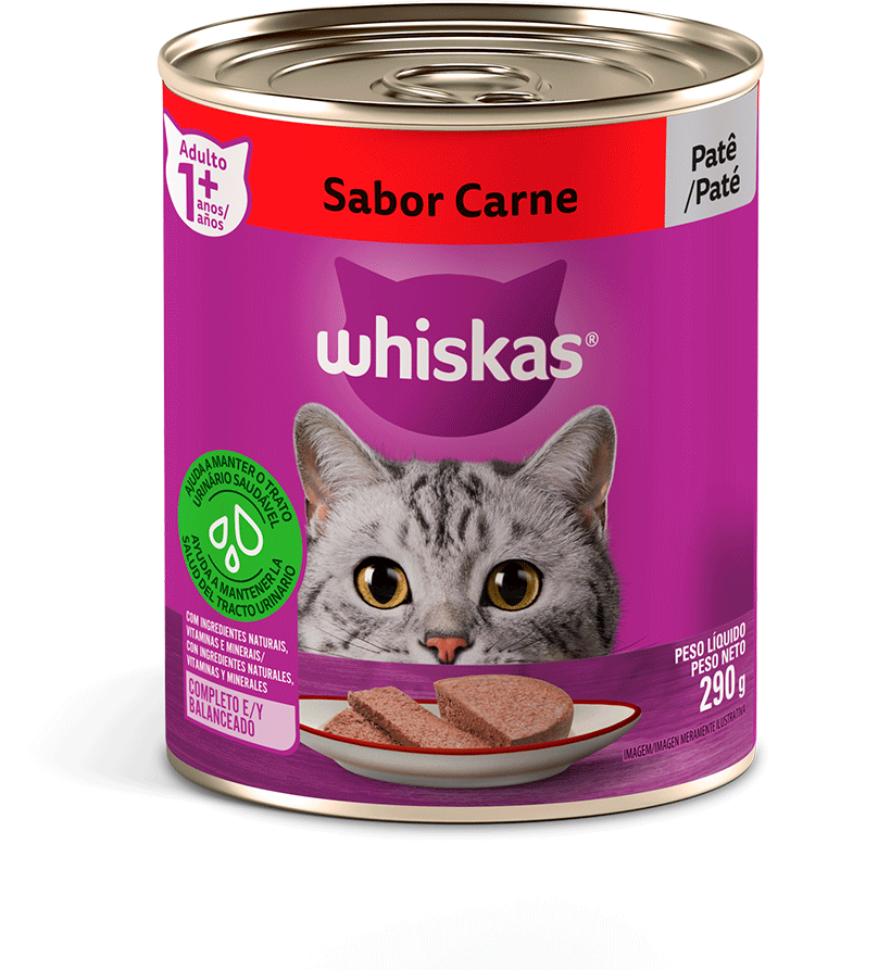 Ração Whiskas Lata Patê de Carne - 290 g