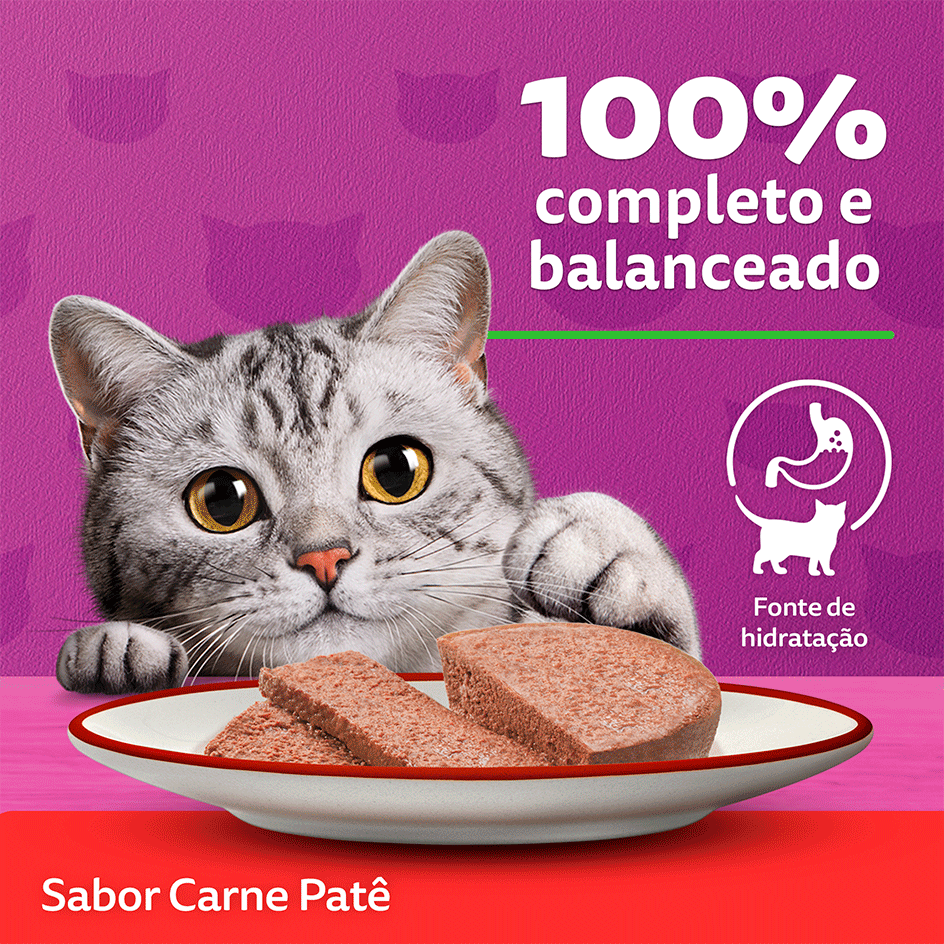 Ração Whiskas Lata Patê de Carne - 290 g