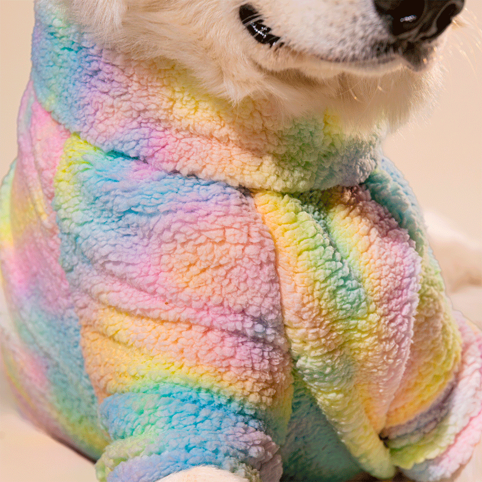 Moletom Meau Cacharrel Alpaca Rainbow - Tam. 10