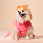 Vestido Meau Soft Rosa - Tam. 02