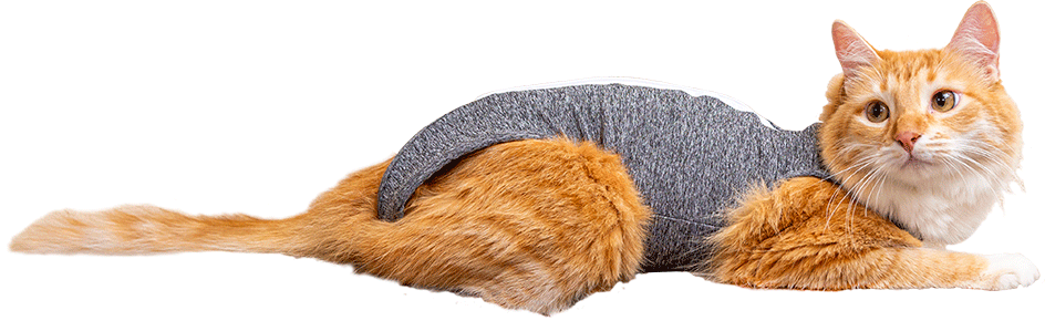 Roupa Pós Cirurgica Pet Designer Cinza para Gatos - Tam. 04