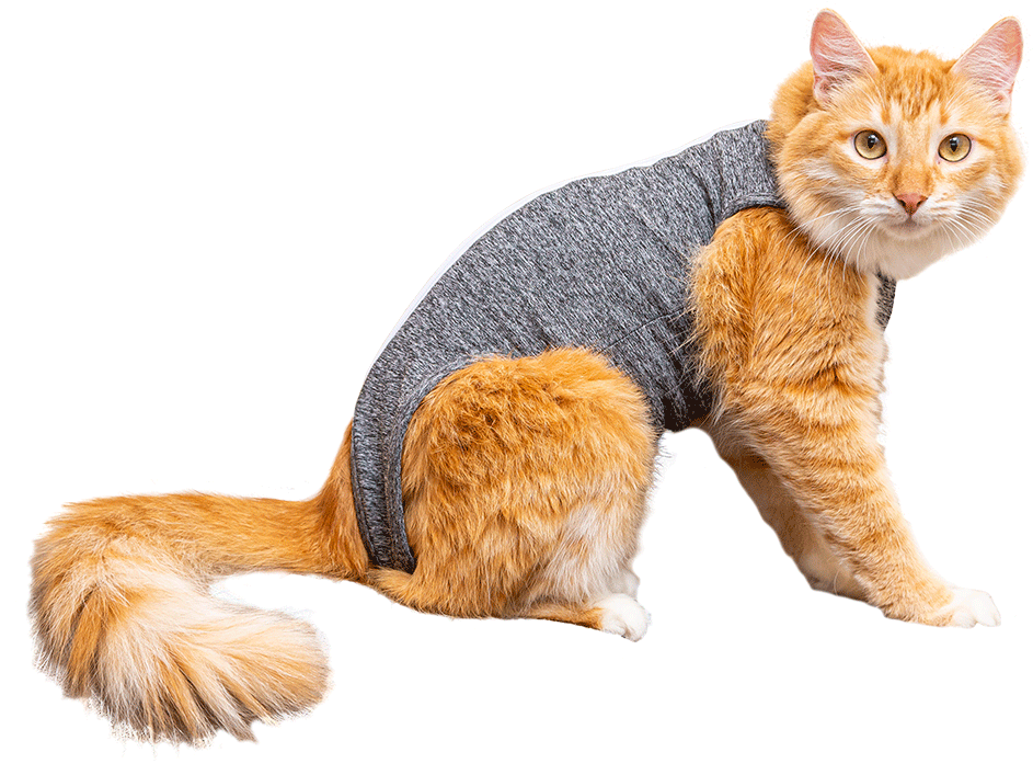 Roupa Pós Cirurgica Pet Designer Cinza para Gatos - Tam. 04