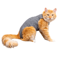 Roupa Pós Cirurgica Pet Designer Cinza para Gatos - Tam. 05