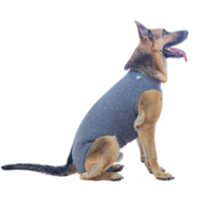 Roupa Pós Cirurgica Abdominal Pet Designer Cinza para Cães - Tam. 09