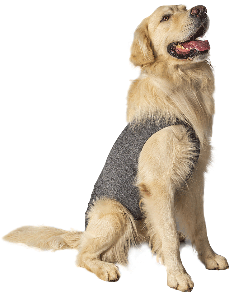Roupa Pós Cirurgica Abdominal Pet Designer Cinza para Cães - Tam. 10