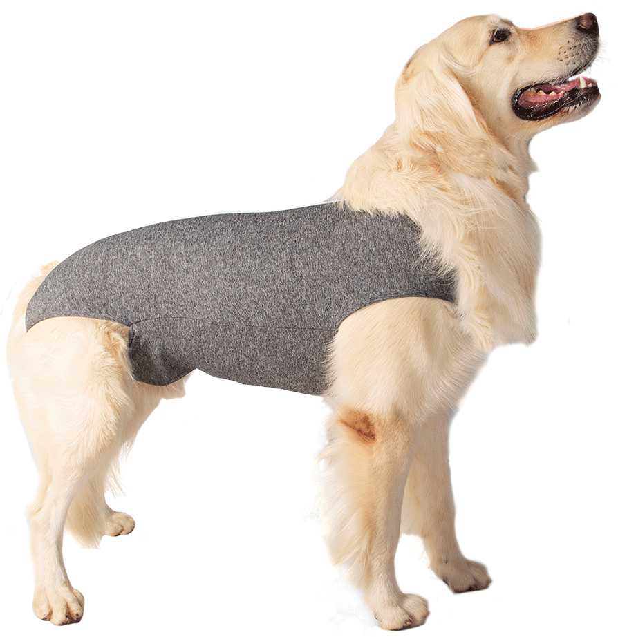 Roupa Pós Cirurgica Abdominal Pet Designer Cinza para Cães - Tam. 10