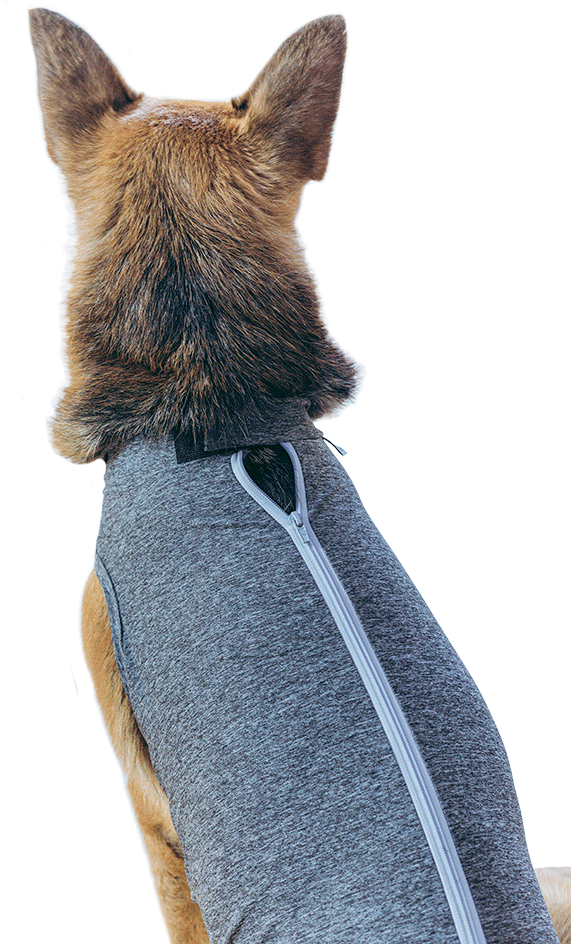 Roupa Pós Cirurgica Abdominal Pet Designer Cinza para Cães - Tam. 10