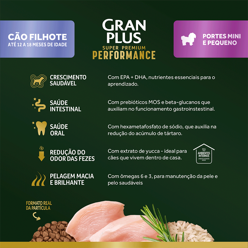 Ração Seca GranPlus Performance para Cães Filhotes Raças Minis e Pequenas sabor Frango e Arroz - 10,1Kg