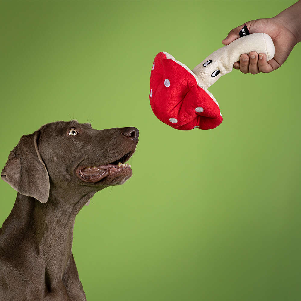 Brinquedo Pelúcia Qmonster Cogumelo Vermelho para Cães - Tam. Único