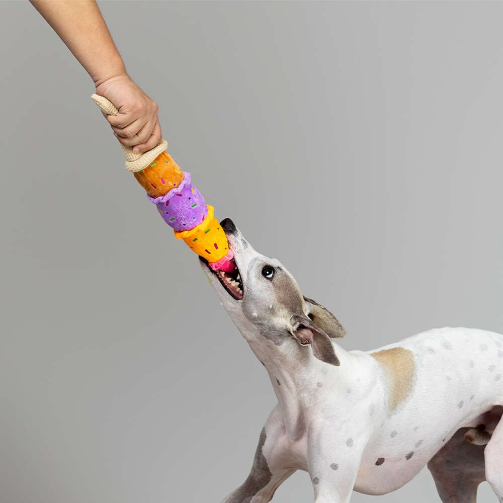 Brinquedo Pelúcia Qmonster Sorvete Cascão Colorido para Cães - Tam. Único